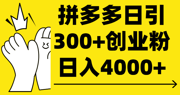拼多多日引300+创业粉 日入4000+-零点科技