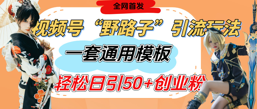 视频号“野路子”玩法，评论区疯狂截流，一套模板单日单号引流50+创业粉-零点科技